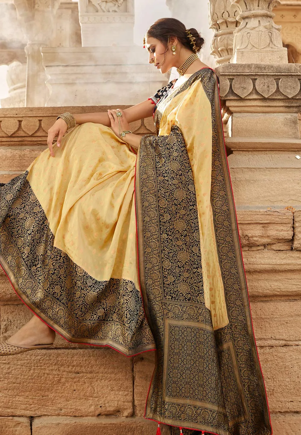 Beige And Black Embroidered Wedding Saree